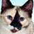 :icongedwards05: