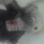 :icongeefte: