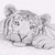 :icongeekofdrawing01: