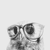 :icongeeky-sova: