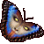 :icongeekydwarf: