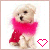 :icongeetherockstar: