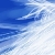 :icongeflecktes-shampoo:
