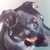 :icongeilheitmatic: