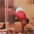 :icongekin: