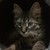 :icongelwin-terijak: