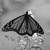 :icongemms1234: