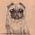 :icongendo367: