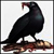 :icongeneral-onox: