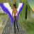 :icongeneralspartan: