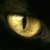 :icongenesys9999: