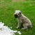 :icongenicphotos: