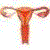 :icongeniusspermbank: