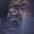 :icongeniuz:
