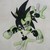 :icongeno211: