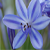 :icongens-photography:
