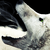 :icongeodude3: