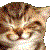 :icongeoff-d: