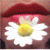 :icongeografia-erratica: