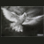 :icongeorge-roth: