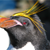 :icongeorgethefriend: