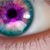 :icongeorgewebster2323: