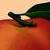 :icongeorgia-peach: