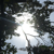 :iconGeorgie-Von-Grimm: