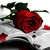:icongeorgyannwayson: