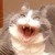 :icongeraldvincedillera: