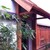 :icongerardokosonoy07: