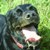 :iconGerbil-Cole: