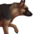 :icongerman-dog-blackie: