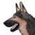 :icongermanshepherdd: