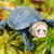 :icongermanyturtleplz: