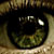 :icongeronimopics: