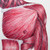 :icongertrudefood: