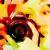 :icongeshorty34: