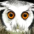 :icongeta7: