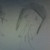 :icongetarti123: