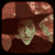 :icongetnoxy: