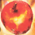 :icongetrainedon: