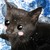 getsugskure77 :icongetsugskure77: