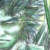 :icongetsuyoh:
