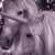 :icongetthatunicorn: