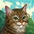 geying :icongeying: