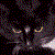:icongezcat: