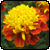 :icongfx-dawn: