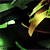 :icongfxcity-hiroki: