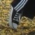 :iconggpaiva: